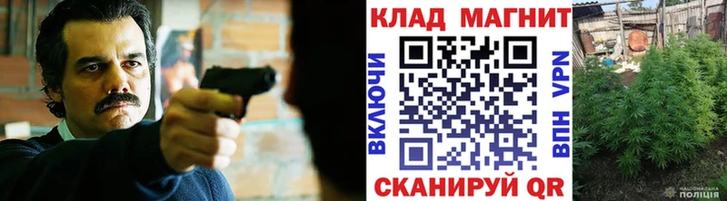 Купить наркотики сайты Рязань ГАШ  COCAIN  МЕФ  Галлюциногенные грибы  Марихуана 