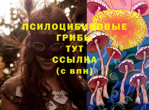 мет Алзамай