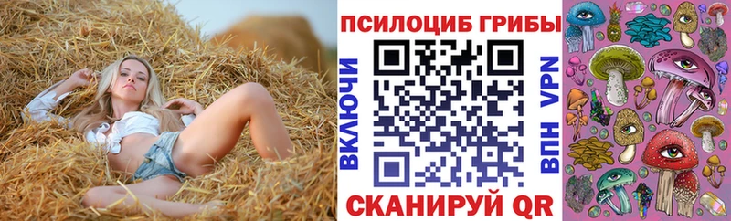 Галлюциногенные грибы мухоморы  даркнет сайт  Рязань 